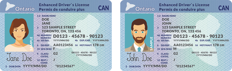 example of Ontario driver's license
