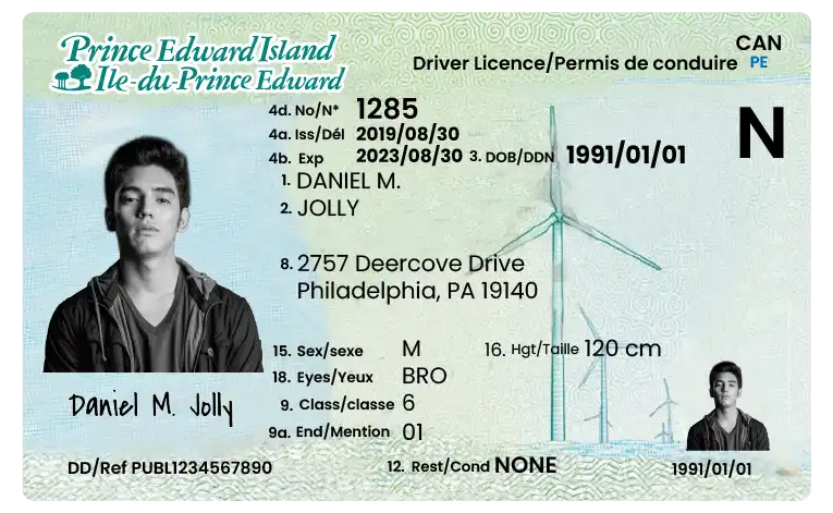 Minimum Requirements for Drivers’ Licences