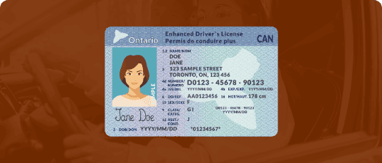 Commercial Driver’s License Overall Regulations