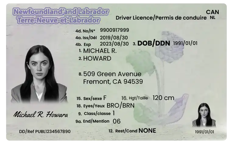 Truck License Newfoundland and Labrador